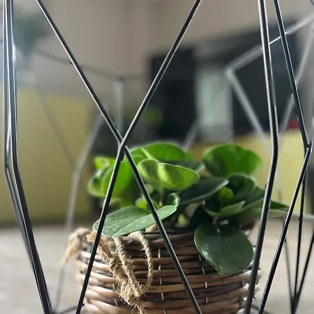 Maison Luce *