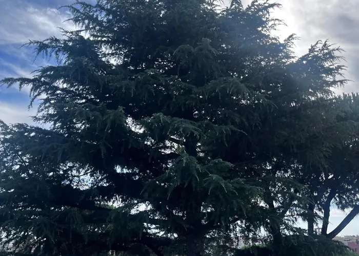 Maison Luce Apartman Róma