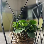 Maison Luce *